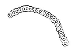 Macromitrium gracile, cross-section of upper laminal cells.
 Image: R.C. Wagstaff © All rights reserved. Redrawn with permission from Vitt (1983). 